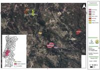 Há sete «Condomínios de Aldeia» com trabalhos no terreno