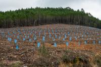 Ler notícia: Há sete «Condomínios de Aldeia» com trabalhos no terreno