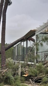 Decretada situação de calamidade até dia 1 de fevereiro