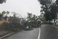 Ler notícia: Declaração de calamidade publicada em Diário da República com 60 concelhos na lista