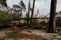 Ler notícia: Médio Tejo com 265 ocorrências e 11 desalojados