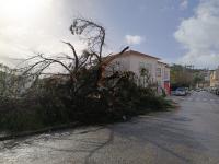 Ler notícia: Vila de Rei com mais de 90% do fornecimento de energia elétrica reposto