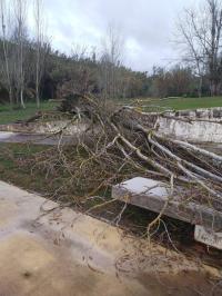 Ler notícia: Os efeitos dos ventos na região (EM ATUALIZAÇÃO)