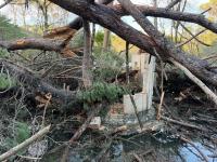 Ler notícia: Câmara de Tomar alerta para necessidade de reforço da resposta a fenómenos extremos