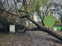 Ler notícia: Vila Nova da Barquinha sem eletricidade, com solidariedade e atenção às cheias