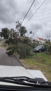 Decretada situação de calamidade até dia 1 de fevereiro