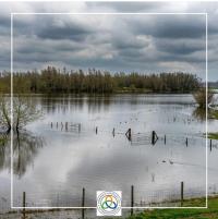 Ler notícia: Chamusca ativa Plano Municipal de Emergência