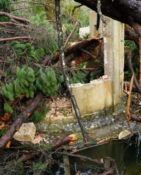 Ler notícia: Governo vai apresentar candidatura a fundo de solidariedade europeu