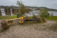 Voluntários ajudam autarquias a limpar margem em Rossio ao Sul do Tejo (c/áudio)