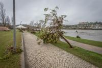 Voluntários ajudam autarquias a limpar margem em Rossio ao Sul do Tejo (c/áudio)