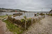 Voluntários ajudam autarquias a limpar margem em Rossio ao Sul do Tejo (c/áudio)