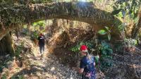 PSP alarga perímetro nas buscas por idoso desaparecido