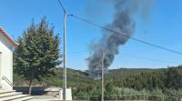 Ler notícia: Incêndio em Aldeia do Mato entrou em resolução (ATUALIZADA)