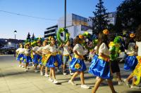 Cores de Abrantes em destaque nas marchas populares (c/áudio)