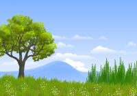 Ler notícia: Restauração dos solos é meio mais eficaz para arrefecer planeta