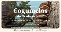 Ler notícia: Vai realizar-se a ação de formação «Cogumelos – do Prado ao Prato» 