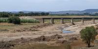 Ler notícia: Autarca de Constância defende reposição de árvores no troço da ribeira 