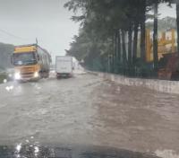 Ler notícia: Proteção civil registou 150 ocorrências até às 07:00. Abrantes tinha mais de 20 ocorrências às 09:30