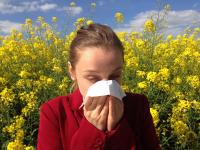 Ler notícia: Norte e Centro continuam com concentrações de pólen elevadas e muito elevadas