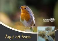 Ler notícia: «Aqui há Aves!» no Barquinha Parque assinala Dia Mundial das Zonas Húmidas