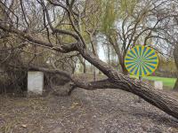 Decretada situação de calamidade até dia 1 de fevereiro