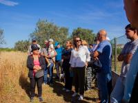 Apadrinha uma Oliveira celebra 3.º aniversário com a II Caminhada pela Rota das Oliveiras Centenárias