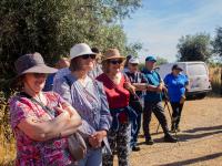 Apadrinha uma Oliveira celebra 3.º aniversário com a II Caminhada pela Rota das Oliveiras Centenárias