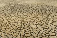 Ler notícia: Eventos climáticos extremos no verão de 2025 custam à Europa 43 MME