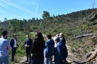 Secretário de Estado das florestas visitou área afetada e levou um trator florestal para o concelho