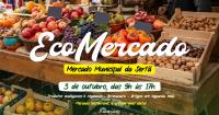 Ler notícia: Mercado sustentável de regresso este sábado