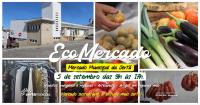 Ler notícia: Ecomercado regressa ao Mercado Municipal