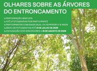 Ler notícia: Município promove Concurso de Fotografia "Olhares sobre as Árvores do Entroncamento"