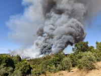 Ler notícia: Incêndio florestal é o que mobiliza mais meios no país. Não há habitações em risco