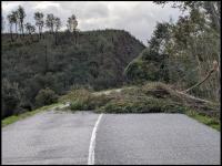 Vila de Rei continua sem comunicações e metade do concelho sem eletricidade (c/áudio)