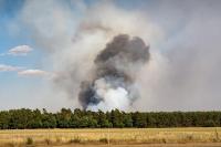 Ler notícia: Comissão quer criar centro europeu de combate a incêndios