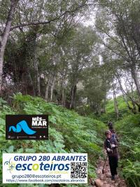 Grupo 280 limpa ribeira em Abrantes 