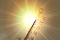 Ler notícia: Temperaturas sobem a partir de domingo com máximas até 40ºC no Sul e Vale do Tejo