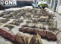 GNR apreende quase uma centena de nassas para pesca ilegal