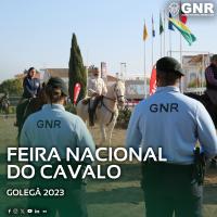 Balanço da operação de segurança da Feira Nacional do Cavalo