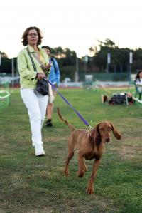 Abrantes foi a capital mundial canina (c/foto reportagem)