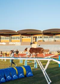 Abrantes foi a capital mundial canina (c/foto reportagem)