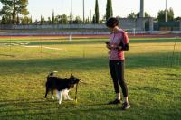 Abrantes foi a capital mundial canina (c/foto reportagem)