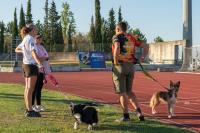 Abrantes foi a capital mundial canina (c/foto reportagem)