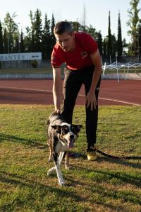 Abrantes foi a capital mundial canina (c/foto reportagem)