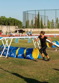 Abrantes foi a capital mundial canina (c/foto reportagem)