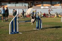 Abrantes foi a capital mundial canina (c/foto reportagem)