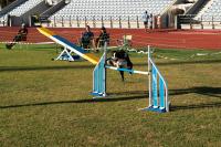 Abrantes foi a capital mundial canina (c/foto reportagem)