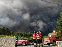 Ler notícia: Incêndios florestais poluem o ar mais do que se calculava