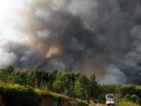 Ler notícia: Turismo Centro solidário com vítimas dos incêndios e prepara iniciativas para o futuro dos territórios