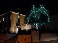 E Abrantes iluminou-se… de Natal! (C/ÁUDIO E FOTOS)